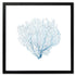 blue sea fan black frame wall art